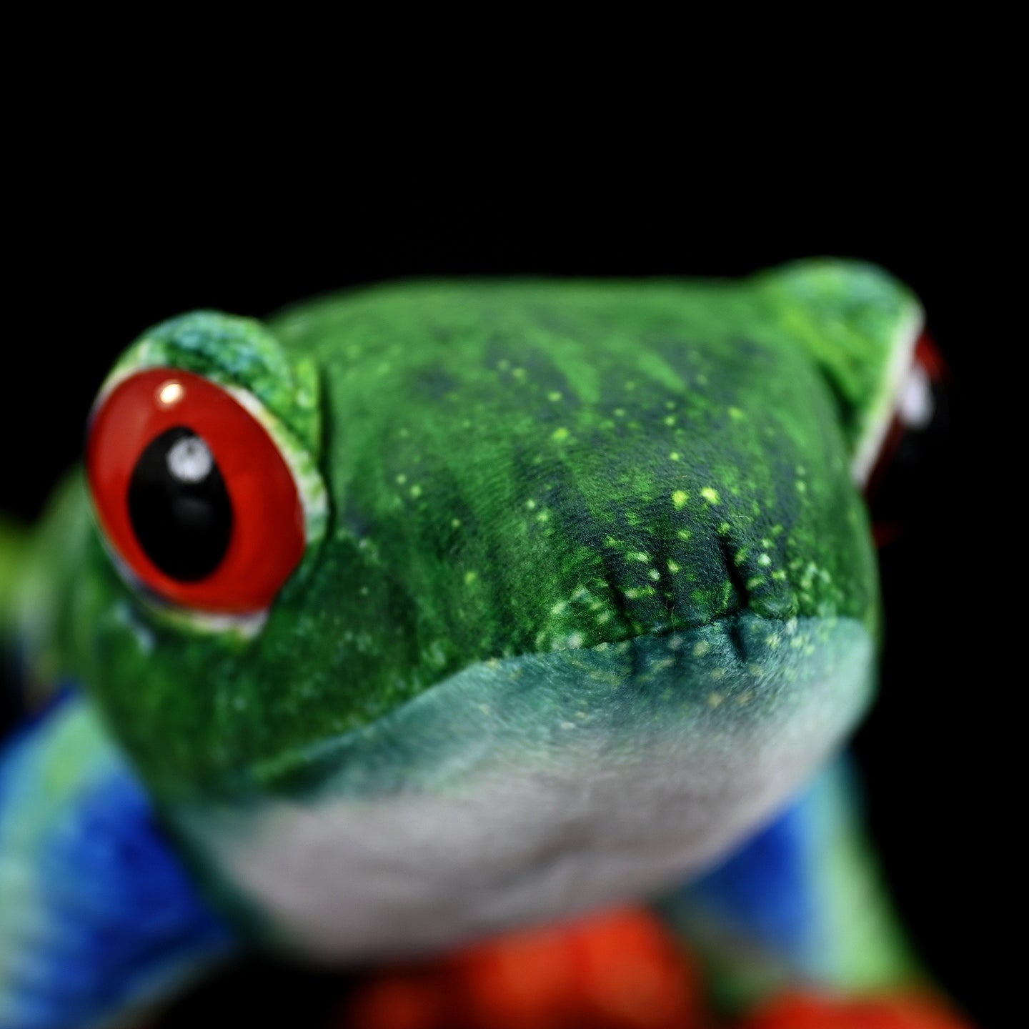 Close-up of a red-eyed tree frog plush from SoftDaysLab, showcasing realistic green textures and vivid red eyes