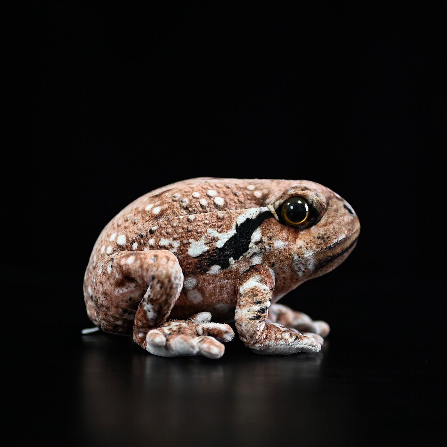Side view of Japanese Common Toad plush highlighting fine craftsmanship and natural amphibian coloring