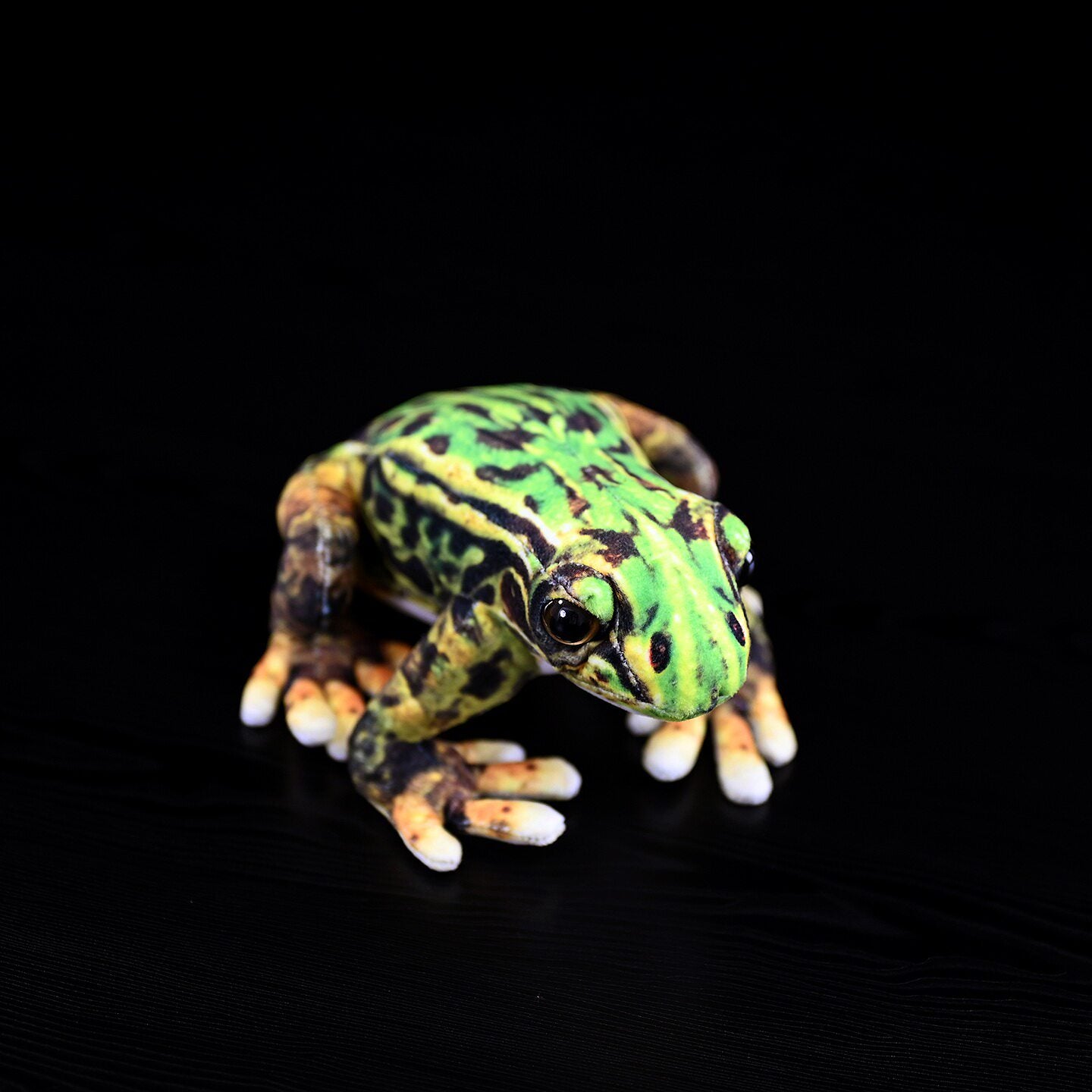 Top-down view of the Japanese Black-spotted Pond Frog Plush with vibrant color patterns