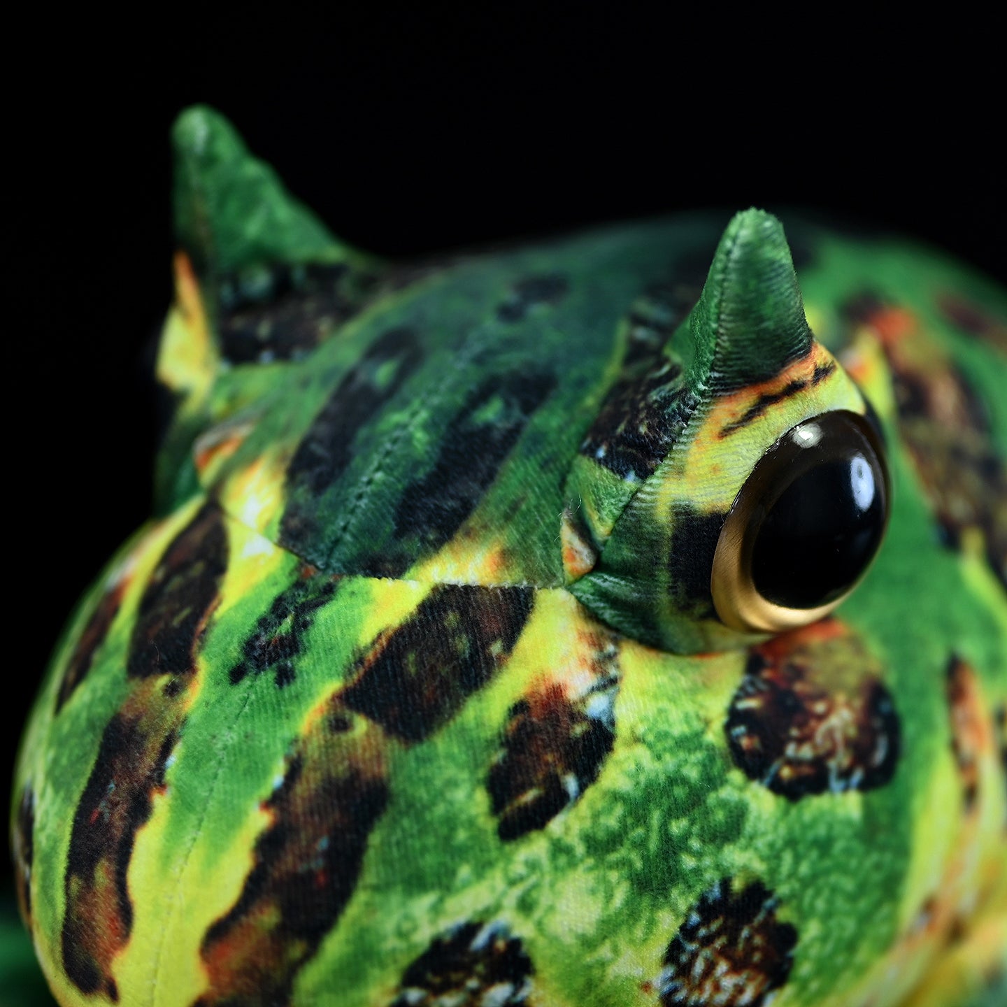 Close-up of the Pacman Frog Plush head, highlighting its vivid colors and realistic Argentine horned frog design