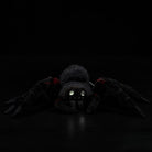 Realistic Tarantula Spider Plush – Lifelike, Soft, and Perfect for Nature Lovers