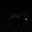 Realistic Tarantula Spider Plush – Lifelike, Soft, and Perfect for Nature Lovers