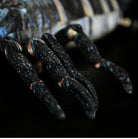 Realistic Dwarf Wood Scorpion Plush Toy – Soft and Lifelike