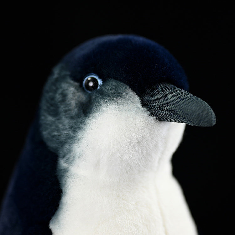 Close-up of Little Blue (Fairy) Penguin plush toy's face, showcasing lifelike details and premium craftsmanship