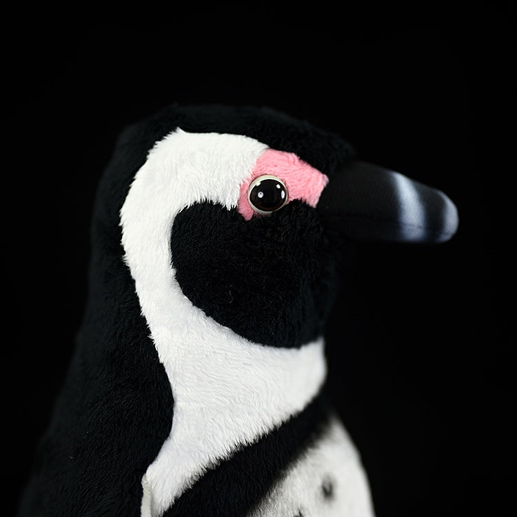 Close-up of African Penguin plush toy’s face, with detailed pink eye patches and a lifelike beak