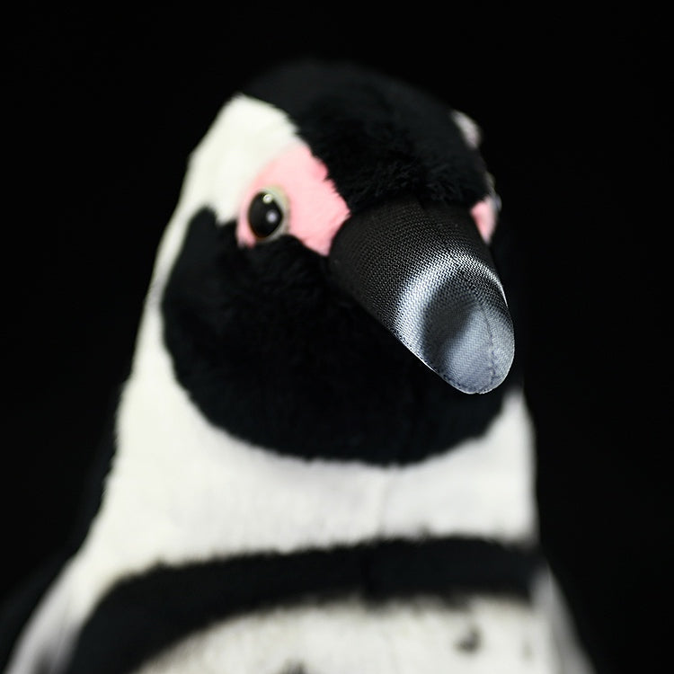 Close-up of African Penguin plush toy’s beak, showing realistic texture and premium craftsmanship