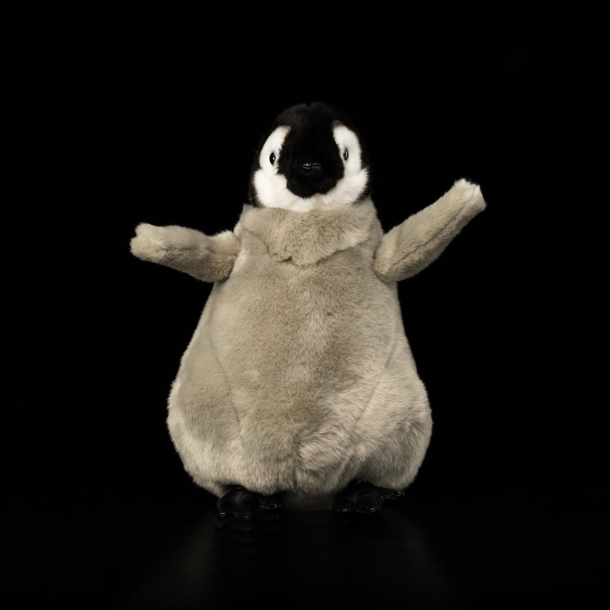 Front view of Emperor Penguin chick plush by SoftDaysLab®, featuring realistic details and soft texture
