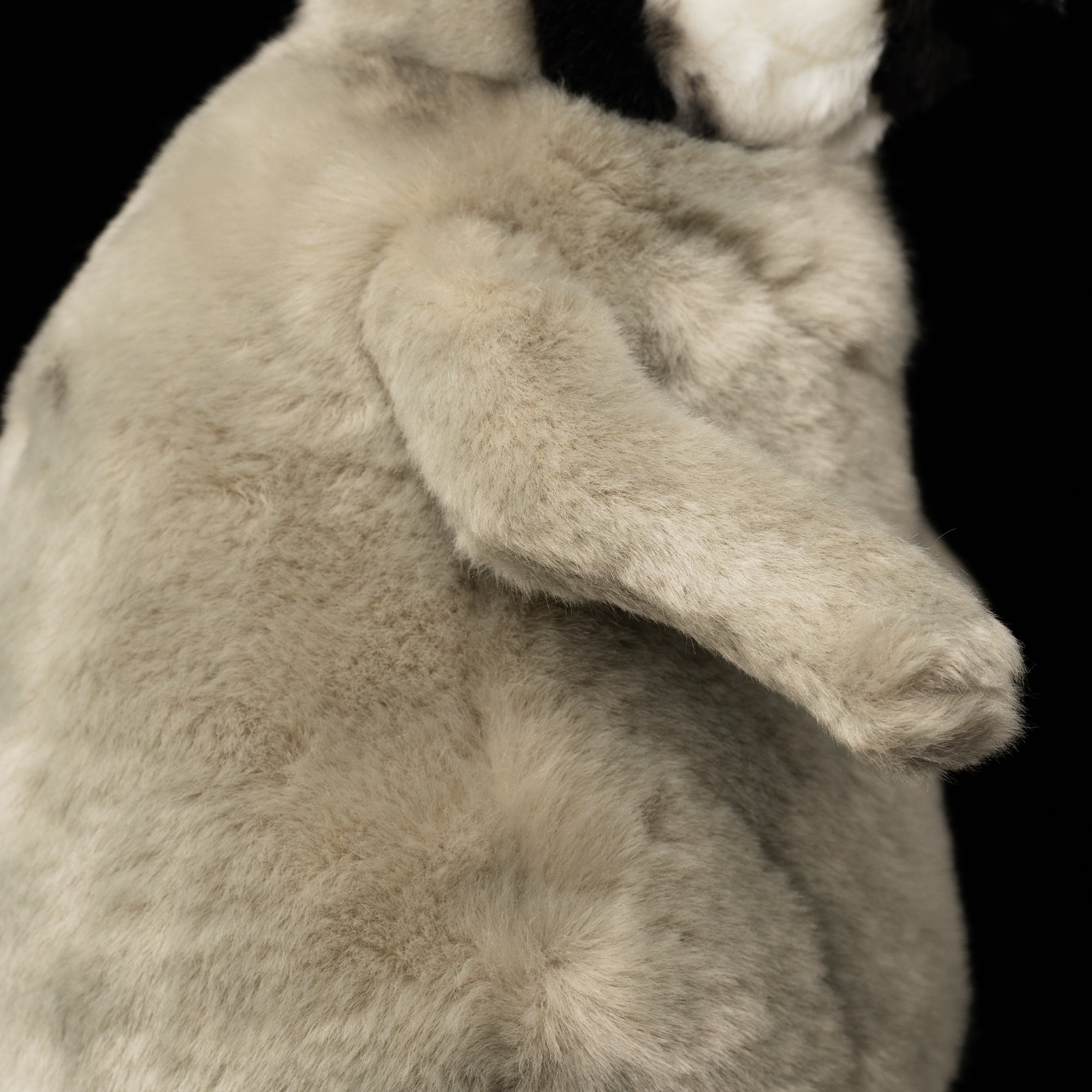 Side close-up of Emperor Penguin chick wing by SoftDaysLab®, emphasizing the soft and fluffy finish