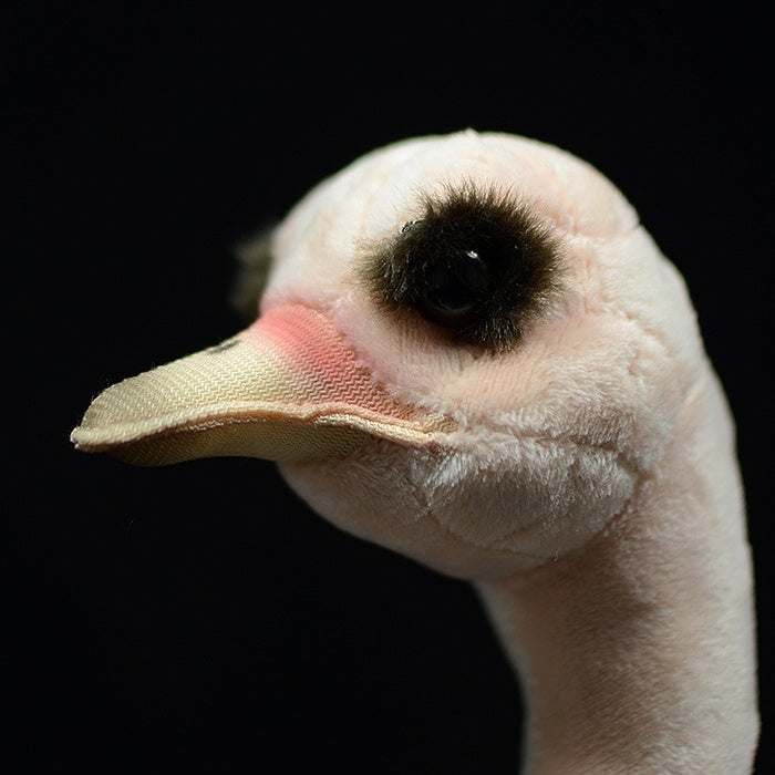 Close-up of ostrich plush toy’s head and beak, showcasing lifelike features and craftsmanship