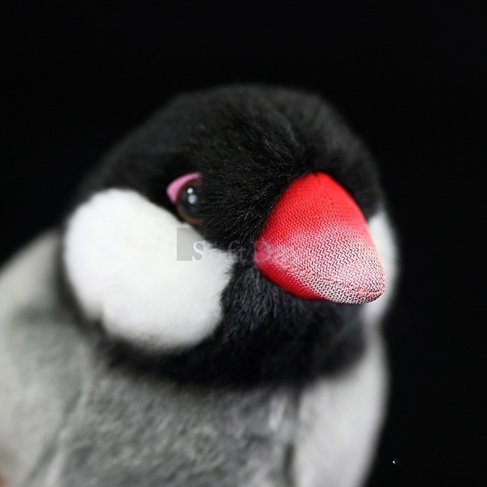 Lifelike Cute Java Sparrow Finch Bird Plush – Realistic and Chubby Design