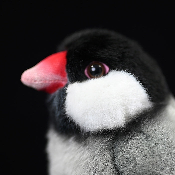 Close-up of Java Sparrow bird plush’s soft pink beak and realistic bird head details