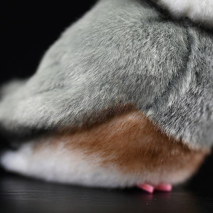 Detailed shot of Java Sparrow bird plush body showcasing lifelike feathers and vibrant colors