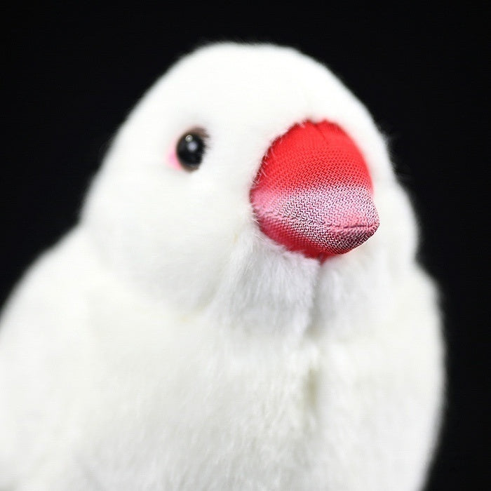 Detailed view of White Java Sparrow bird plush focusing on its soft beak and fluffy feathers