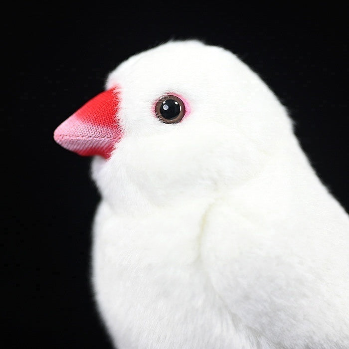Close-up of White Java Sparrow bird plush head, showcasing realistic red beak and expressive eyes