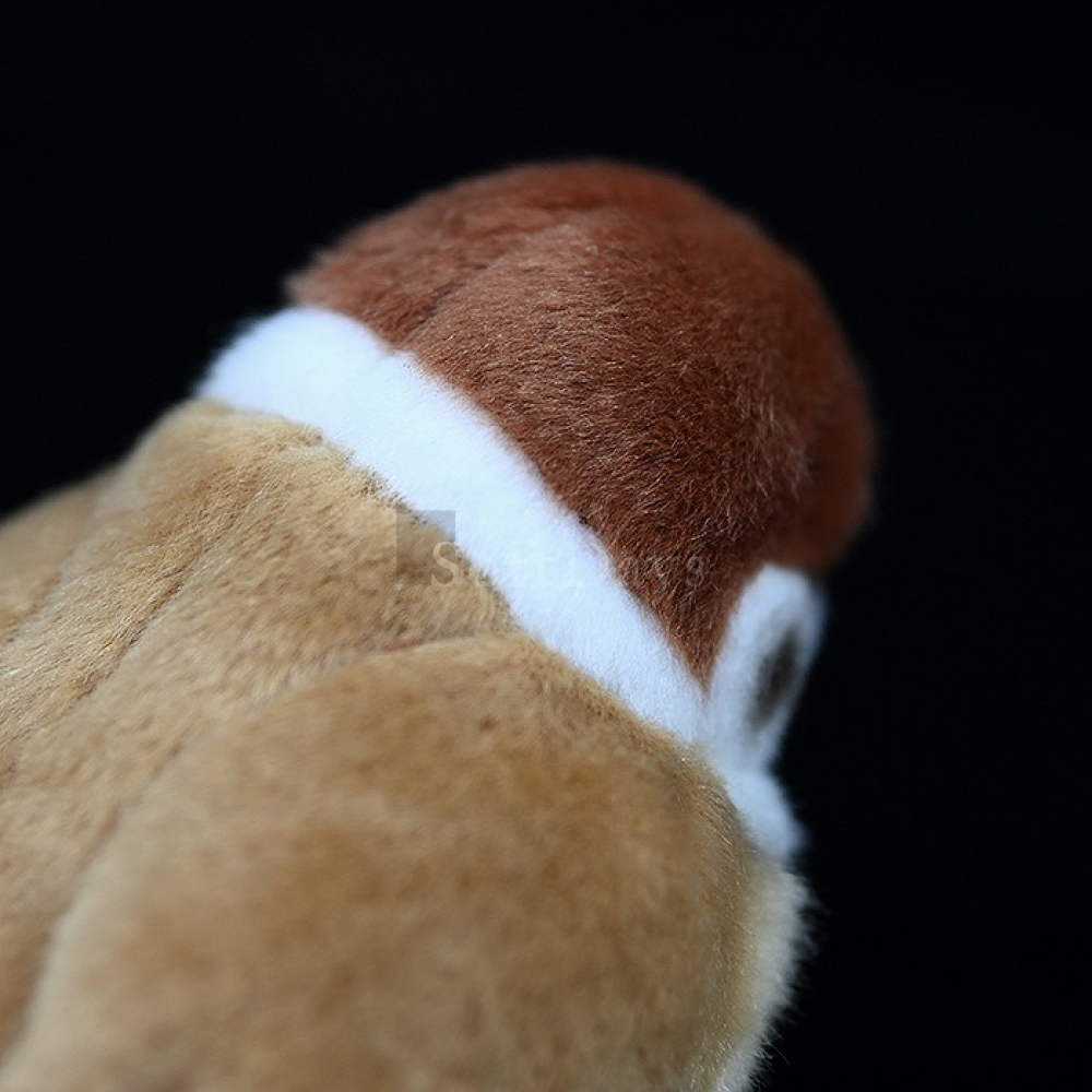 Lifelike Cute Tree Sparrow Bird Plush Toy – Realistic and Chubby Design