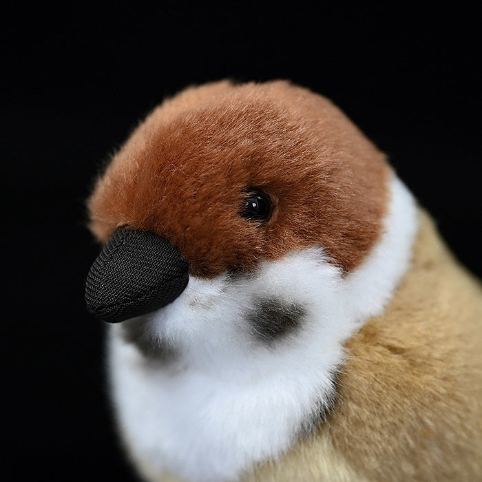 Detailed close-up of Tree Sparrow plush head, showcasing its black beak, white cheeks, and markings