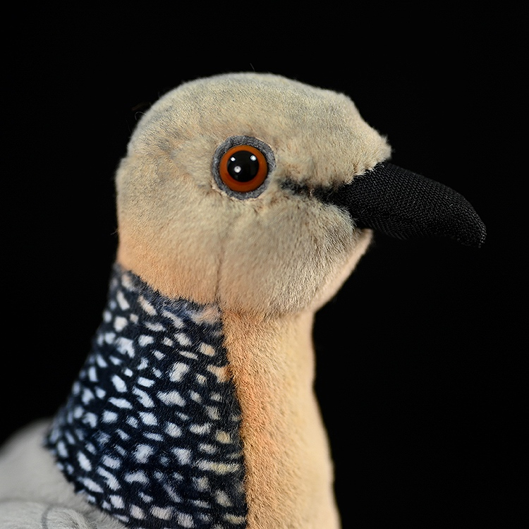 Close-up of Spotted Dove plush toy's head by SoftDaysLab, focusing on its detailed black face and orange eye