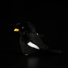 Lifelike Adorable Crested Myna Bird Plush – Realistic and Chubby Design