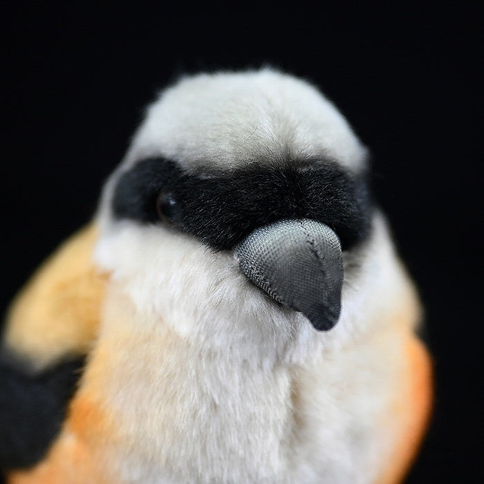 Lifelike Adorable Long-Tailed Shrike Bird Plush – Realistic and Chubby