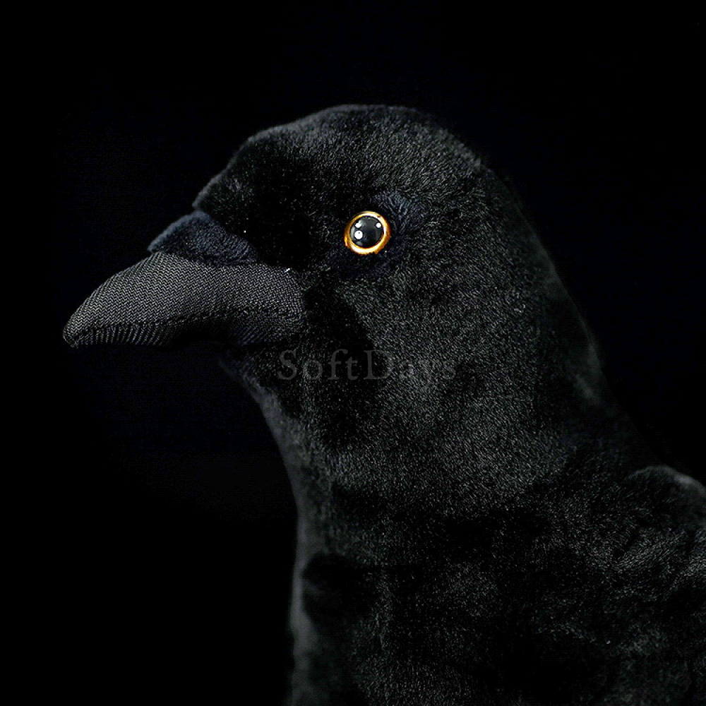 Close-up of American crow plush toy’s head and bright eye, showcasing fine details and lifelike appearance