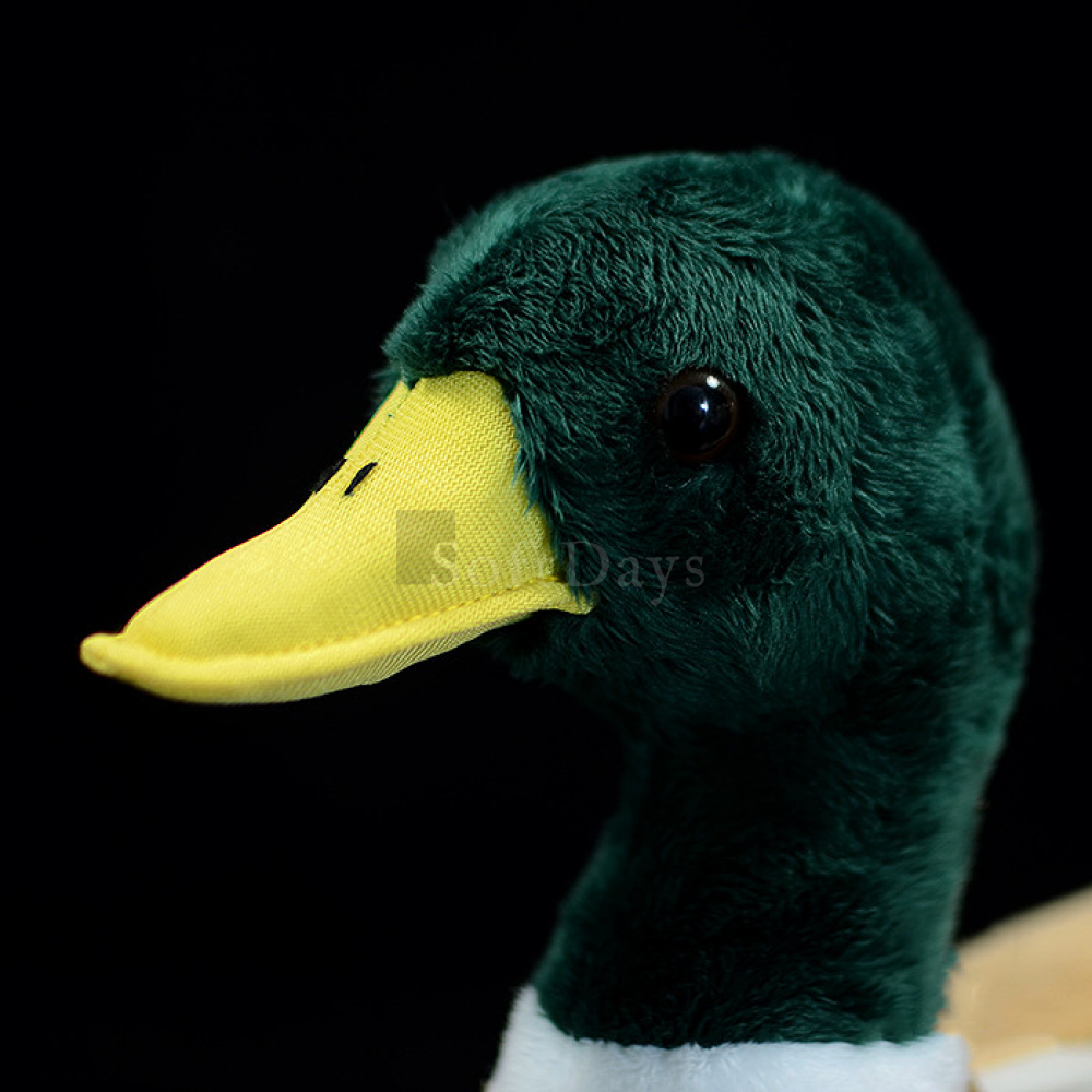 Realistic Mallard Duck Plush Toy – Soft and Lifelike
