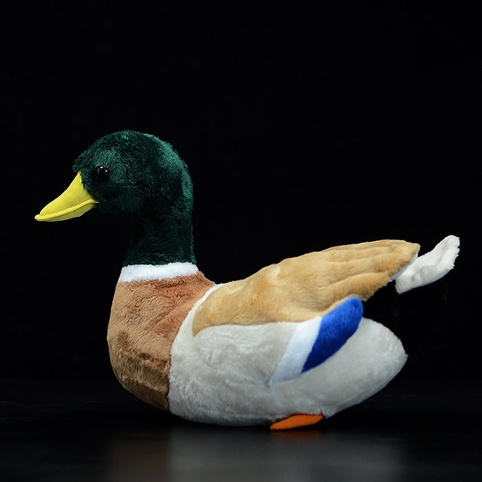 Realistic Mallard Duck Plush Toy – Soft and Lifelike
