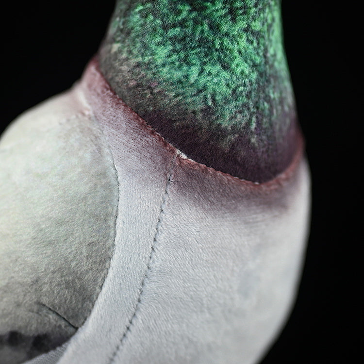 Detailed view of the Hill Pigeon plush’s vibrant green neck feathers and smooth fabric texture