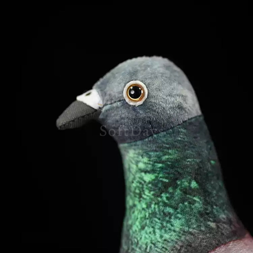 Close-up of Hill Pigeon plush bird’s head, highlighting realistic eyes and lifelike beak design