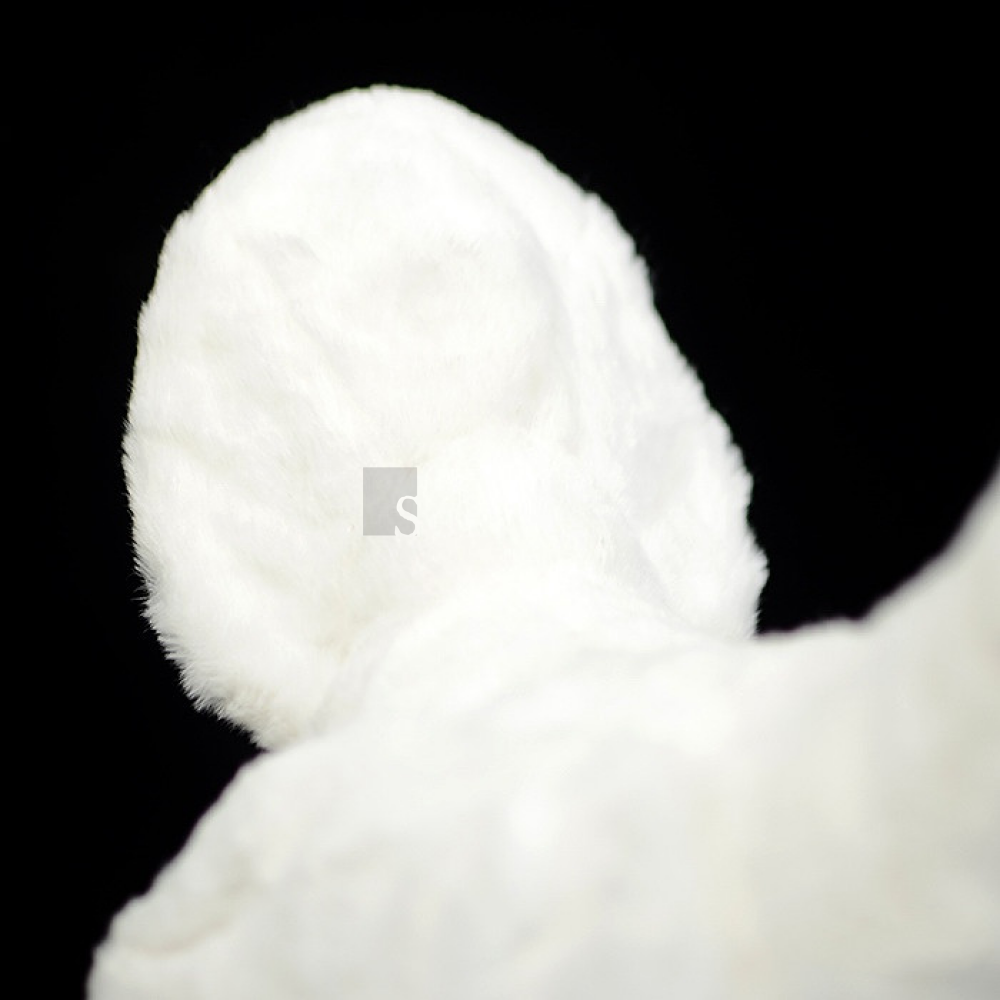 White Rooster Chicken Soft Stuffed Plush Toy – Lifelike and Adorable