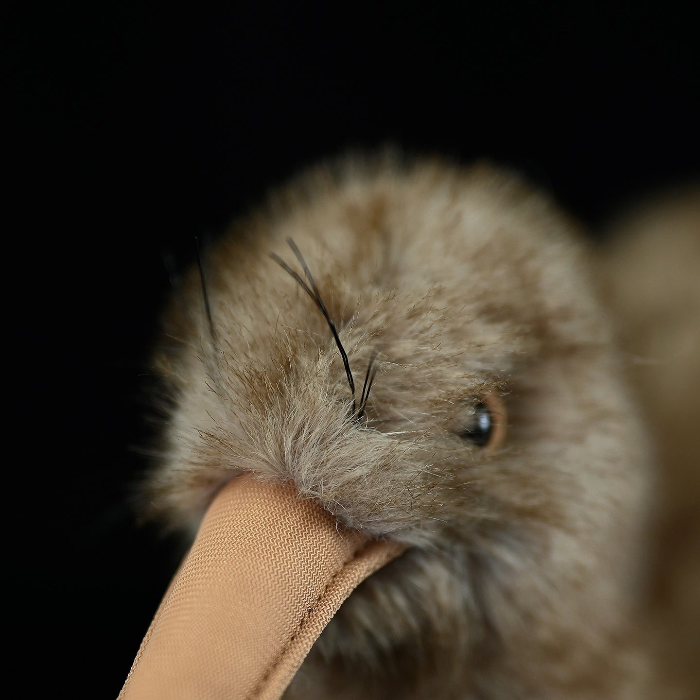 Close-up of Kiwi Bird Plush Toy’s face, highlighting its soft fur, eyes, and intricate design