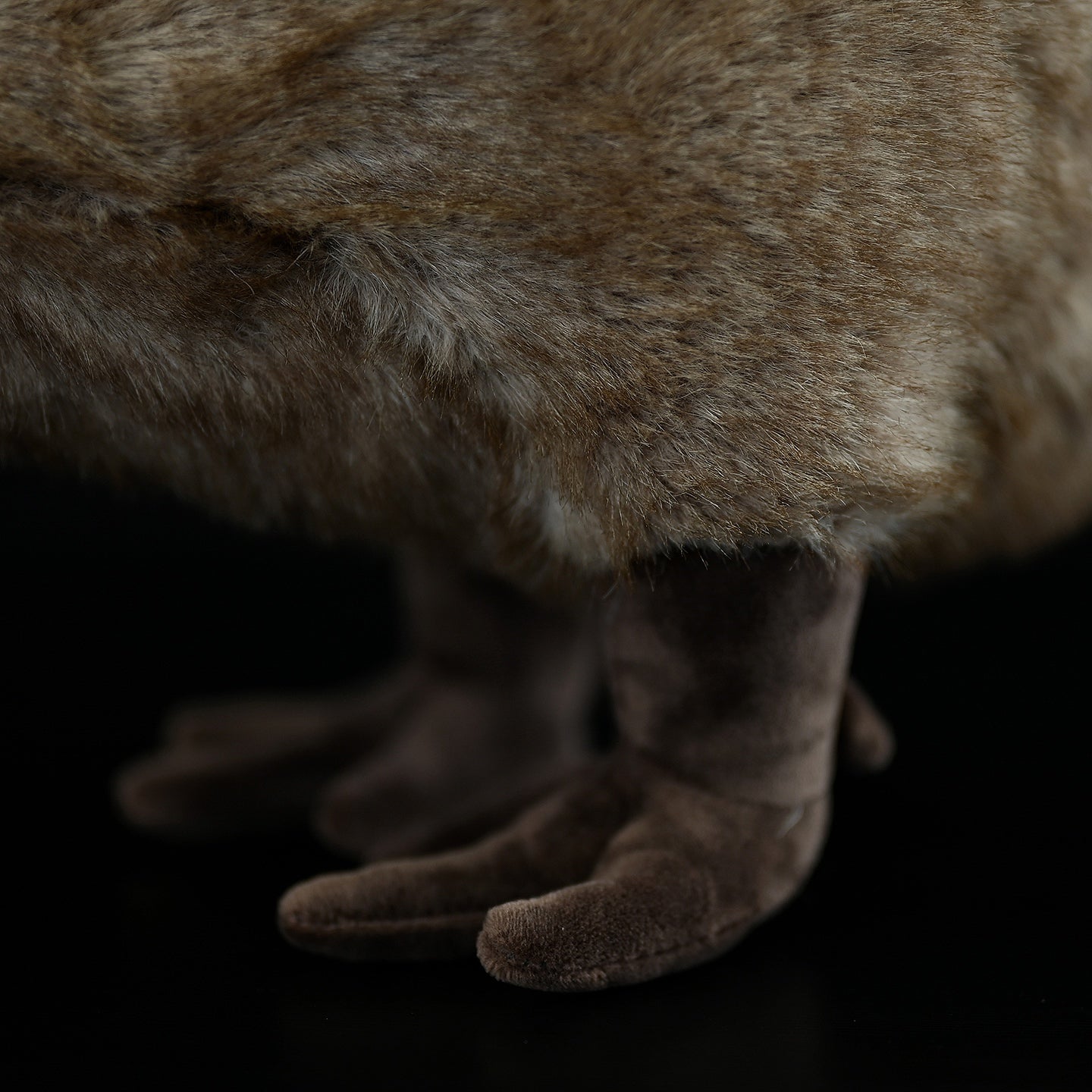 Close-up of Kiwi Bird Plush Toy’s feet, showcasing its soft plush material and attention to realism by SoftDaysLab