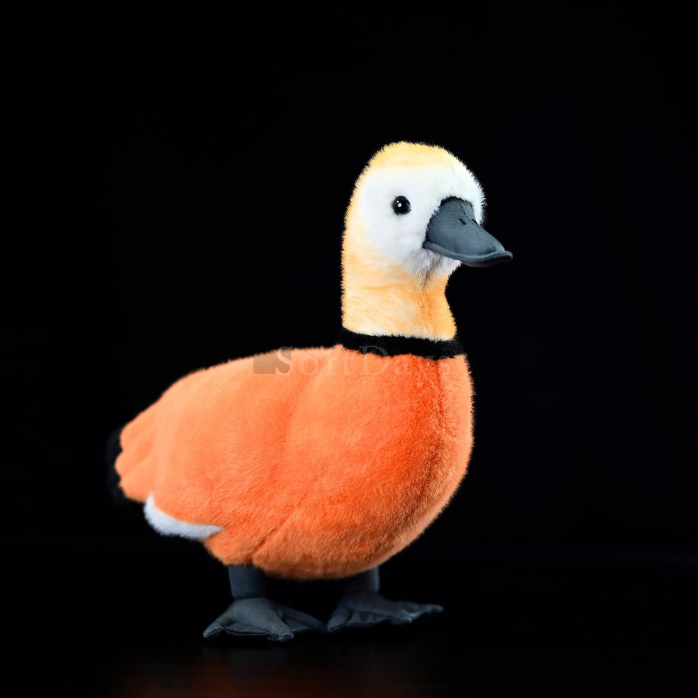 Front view of Ruddy Shelduck Plush Toy with realistic orange body and black beak by SoftDaysLab