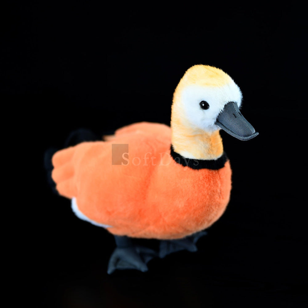 Angled view of Ruddy Shelduck Plush Toy, emphasizing its vibrant coloring and high-quality design