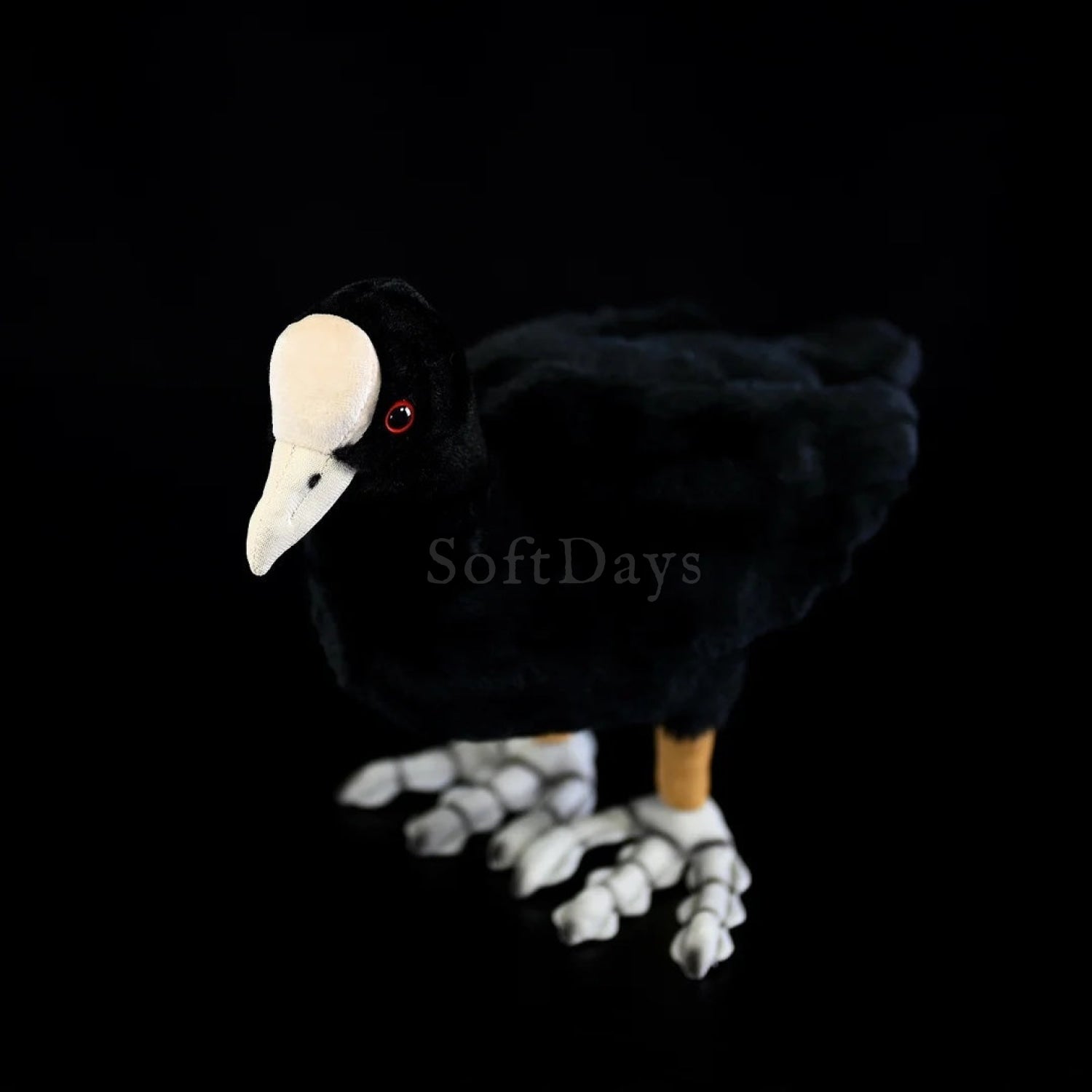 Realistic Eurasian Coot plush toy with black feathers, white shield, and lifelike red eyes, perfect for bird lovers