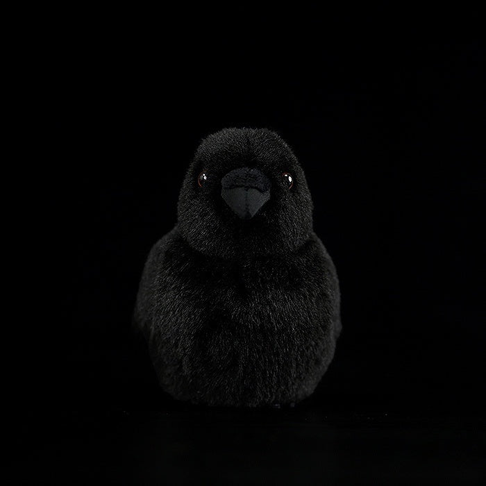 Front view of the Chubby Carrion Crow Plush Toy by SoftDaysLab, featuring its soft and adorable design