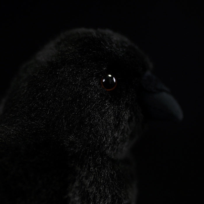 Close-up of the carrion crow plush toy’s face, showing its shiny eyes and detailed features