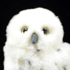 Close-up of snowy owl plush toy's face, featuring bright eyes and a detailed beak for an authentic look