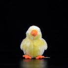 Front view of a cute yellow chick stuffed toy with realistic design, ideal for kids and collectors