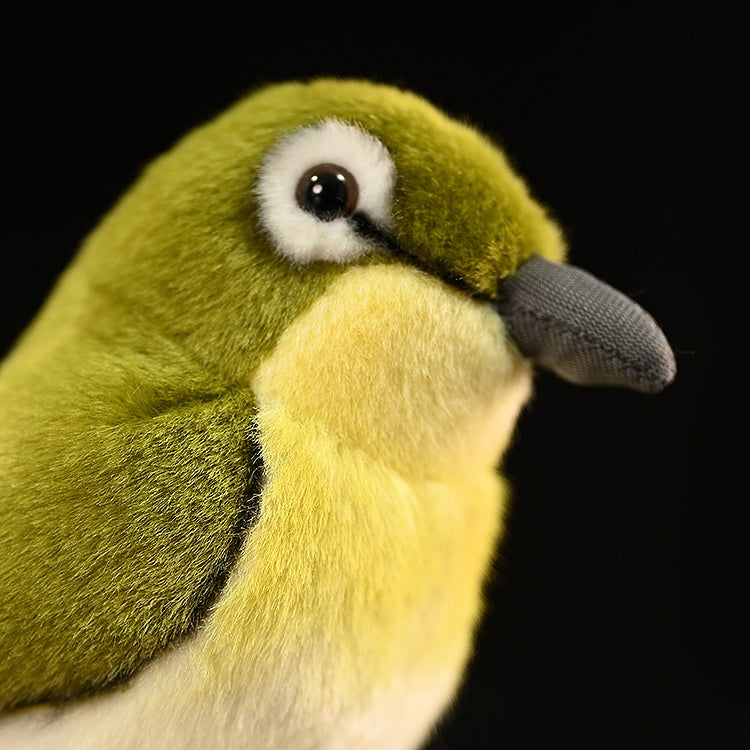 Angled view of the Warbling White-Eye plush toy, showing its lifelike features and fluffy texture