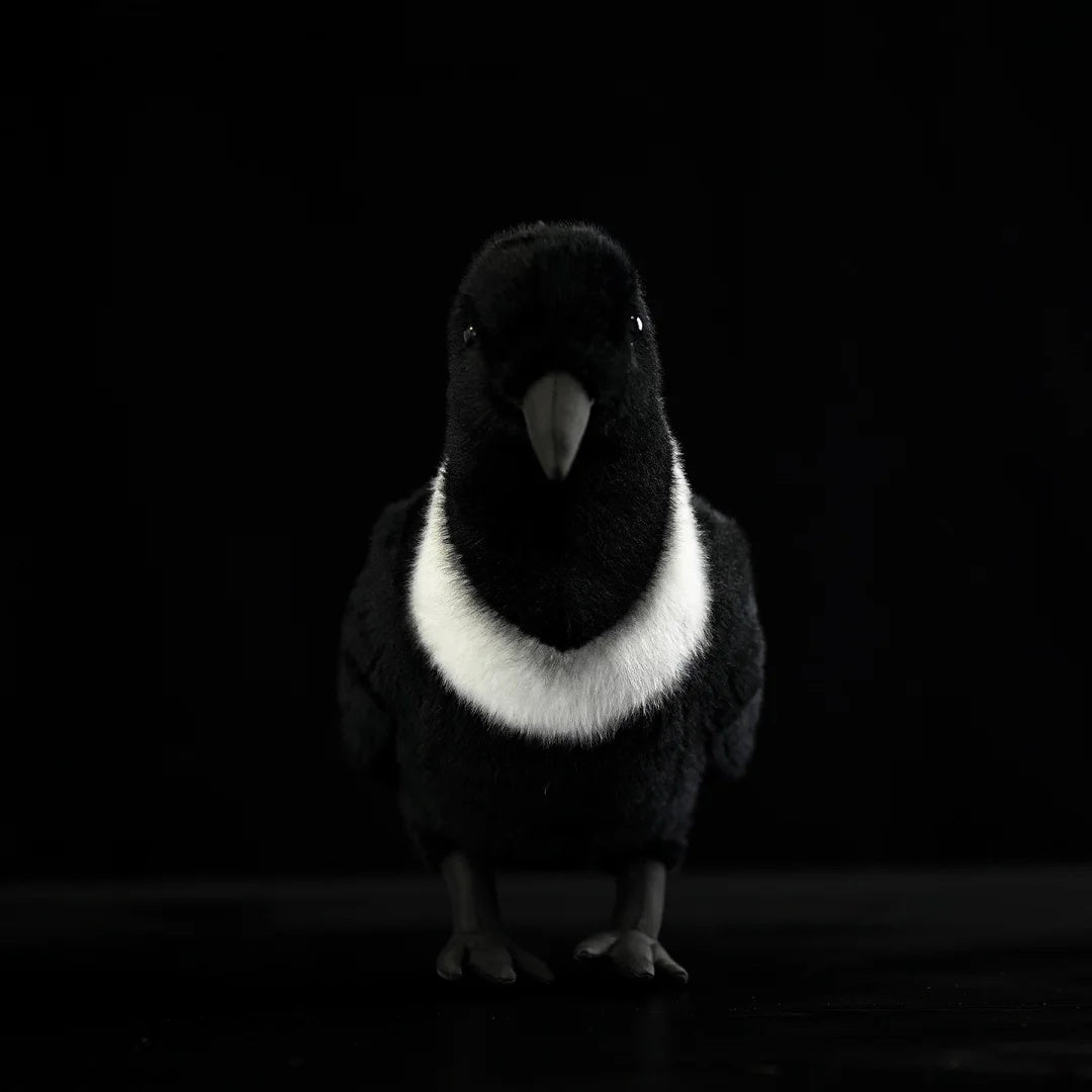 Front view of a Collared Crow stuffed toy showcasing its ring-necked design and lifelike craftsmanship