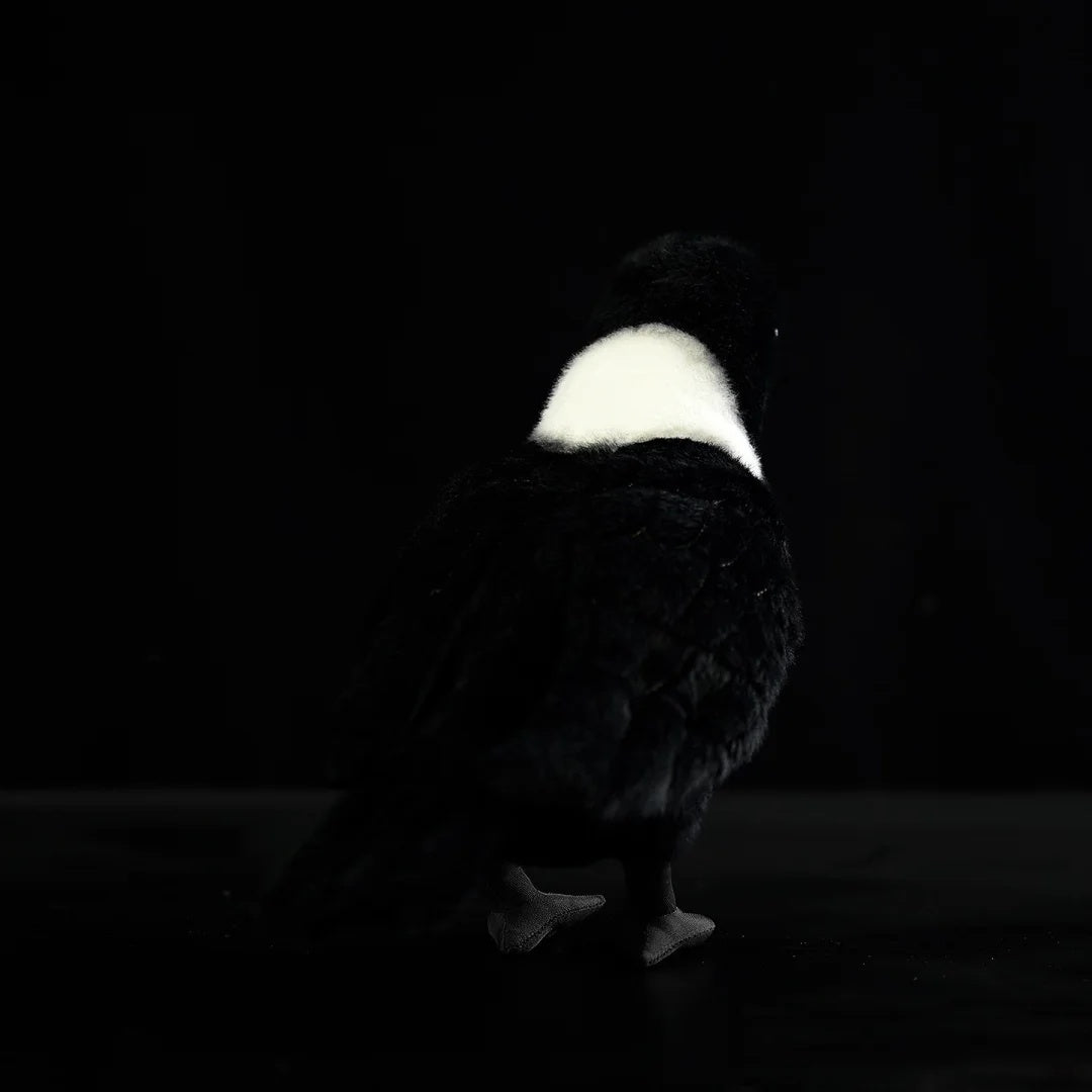 Rear view of a Collared Crow plush toy, highlighting its white collar and sleek black feathers
