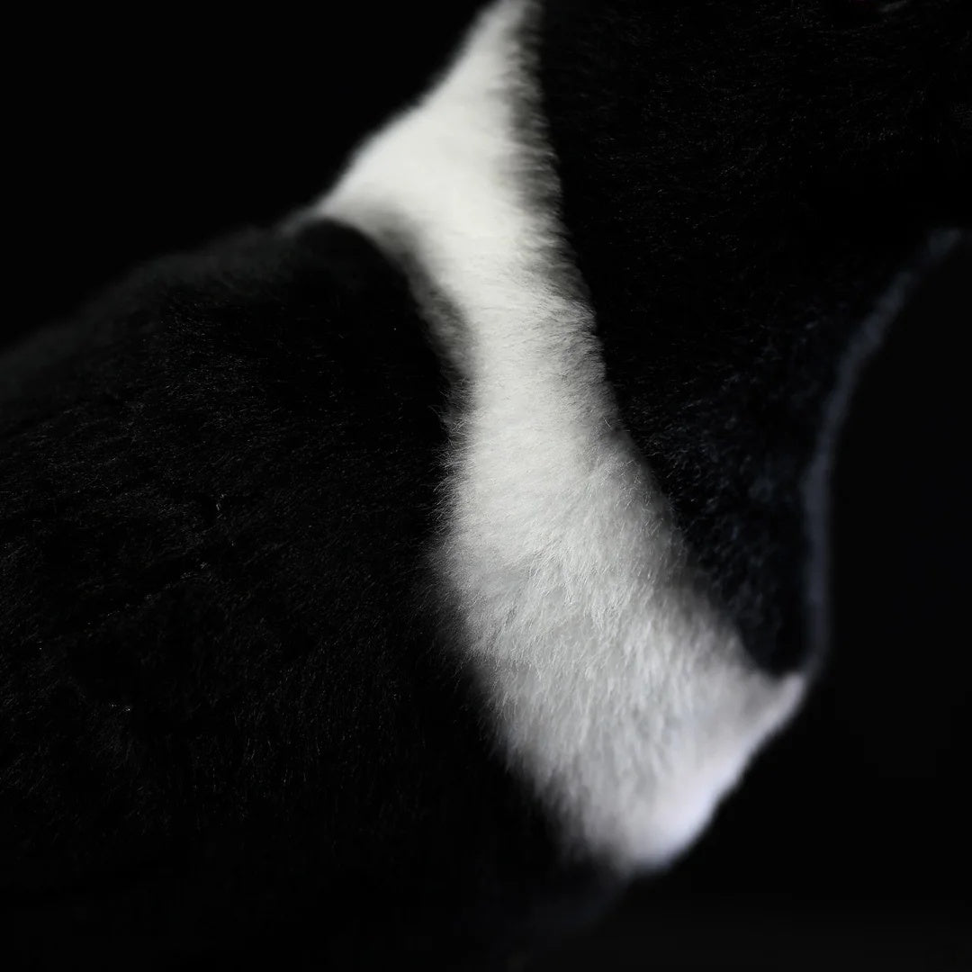 Close-up of the Collared Crow plush toy's white collar, highlighting its soft and realistic texture