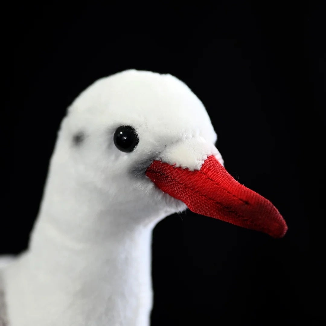 Close-up of the Black-headed Gull plush's face, highlighting its lifelike eyes and vibrant red beak
