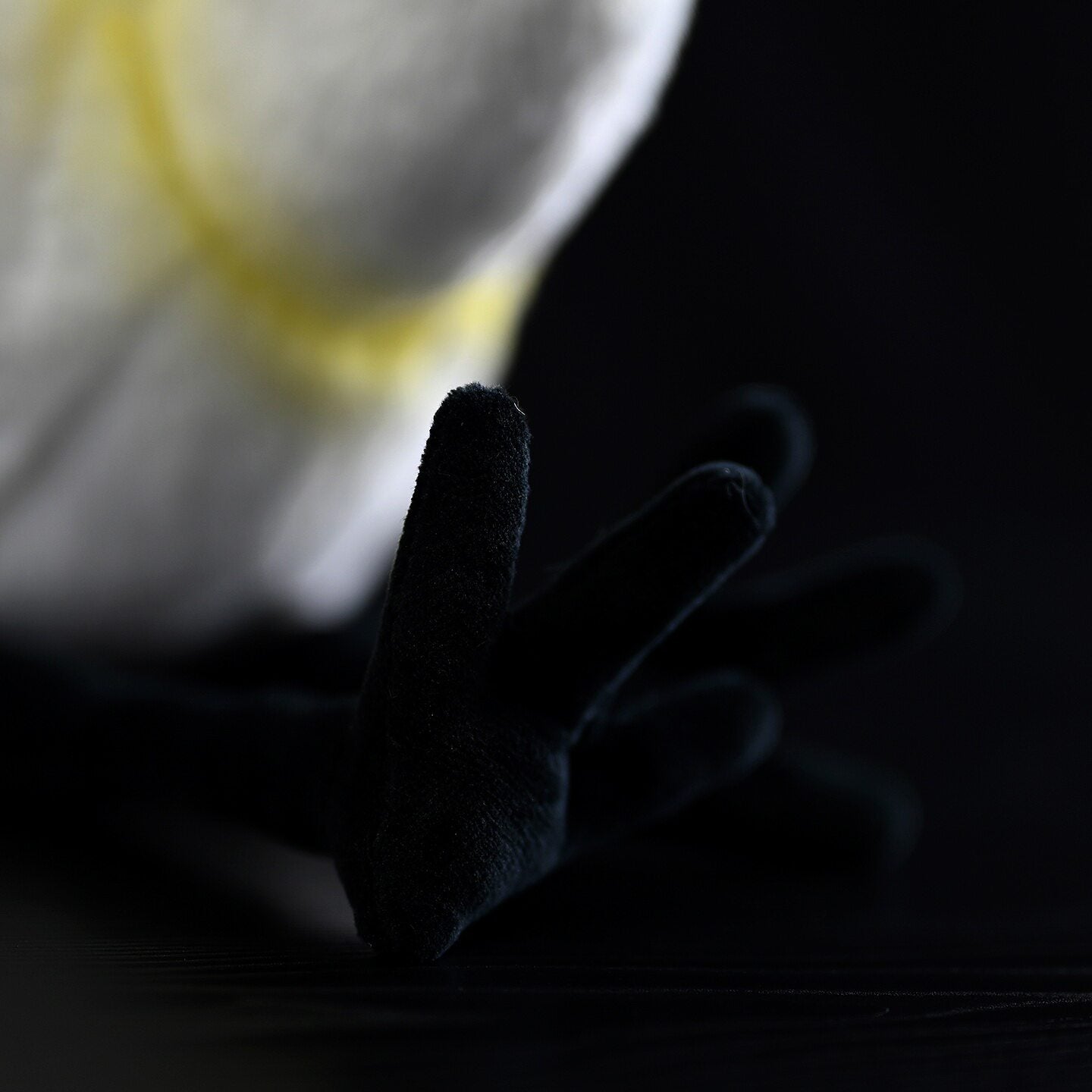 Detailed view of the plush's lifelike feet with soft, black-textured material for a realistic touch