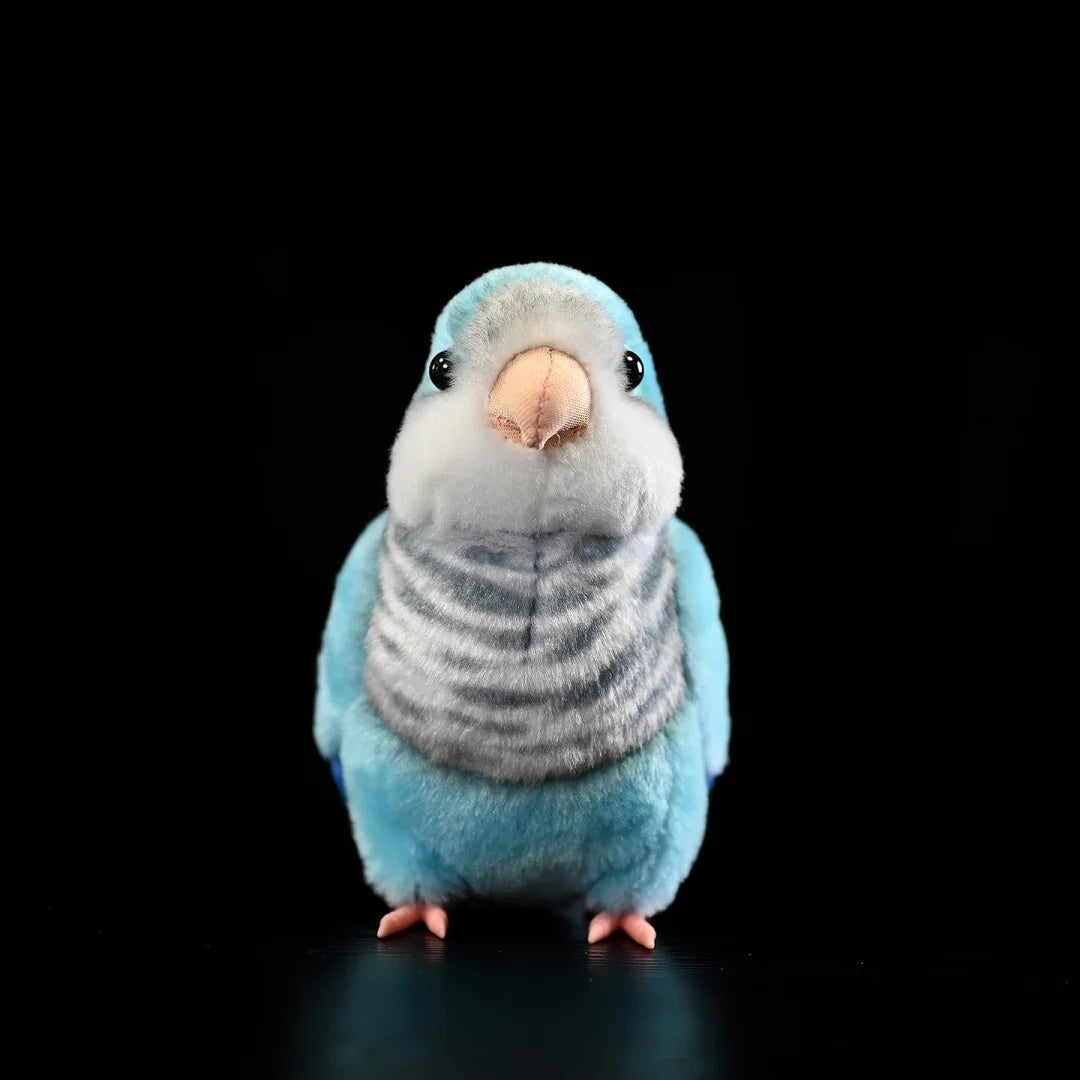 Frontal image of Blue Quaker Parrot plush by SoftDaysLab®, highlighting its realistic face and bright, lifelike colors