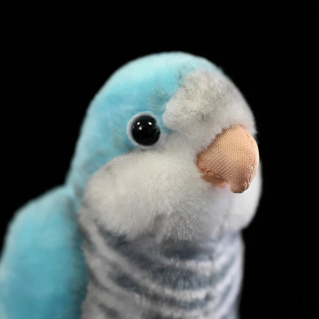 Close-up of Blue Quaker Parrot plush toy's head by SoftDaysLab®, featuring realistic facial details and soft fabric finish
