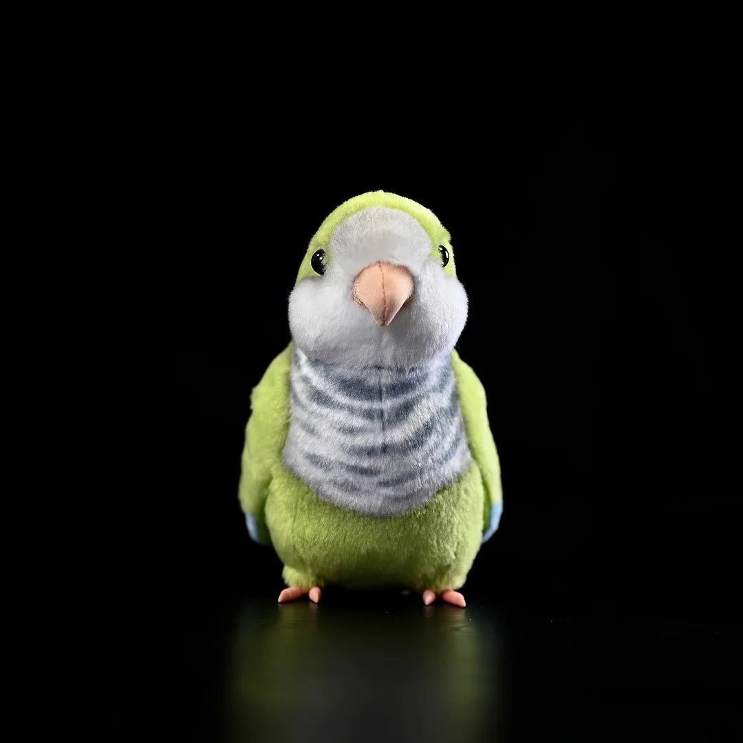 Front view of Monk Parakeet plush toy by SoftDaysLab®, showcasing its lifelike design and detailed features