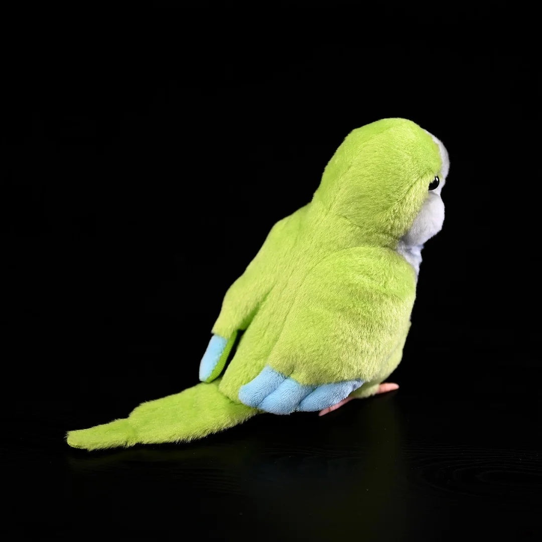Lifelike Monk Parakeet plush toy by SoftDaysLab®, showcasing its realistic design from the rear angle