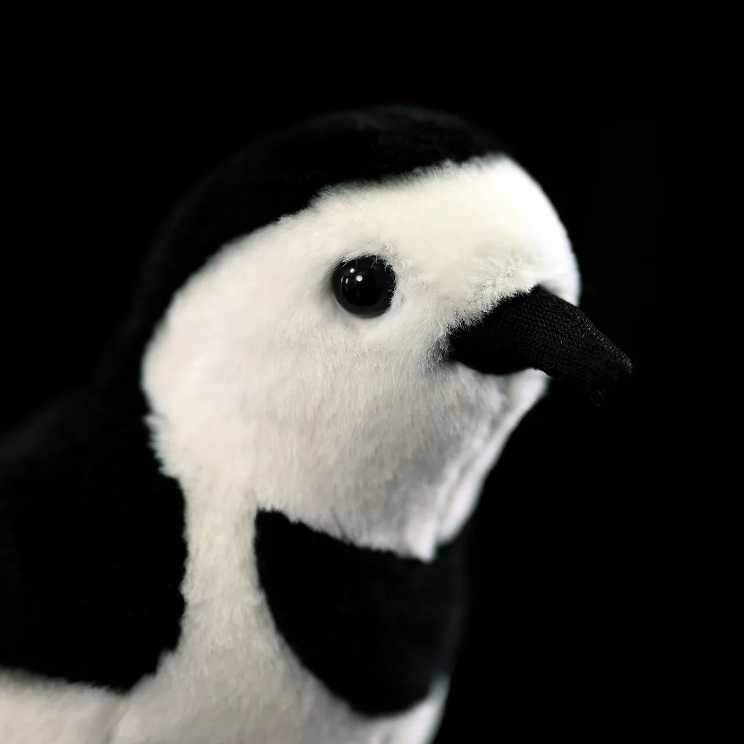 Close-up of the White Wagtail plush's head by SoftDaysLab®, highlighting its realistic face and detailed features