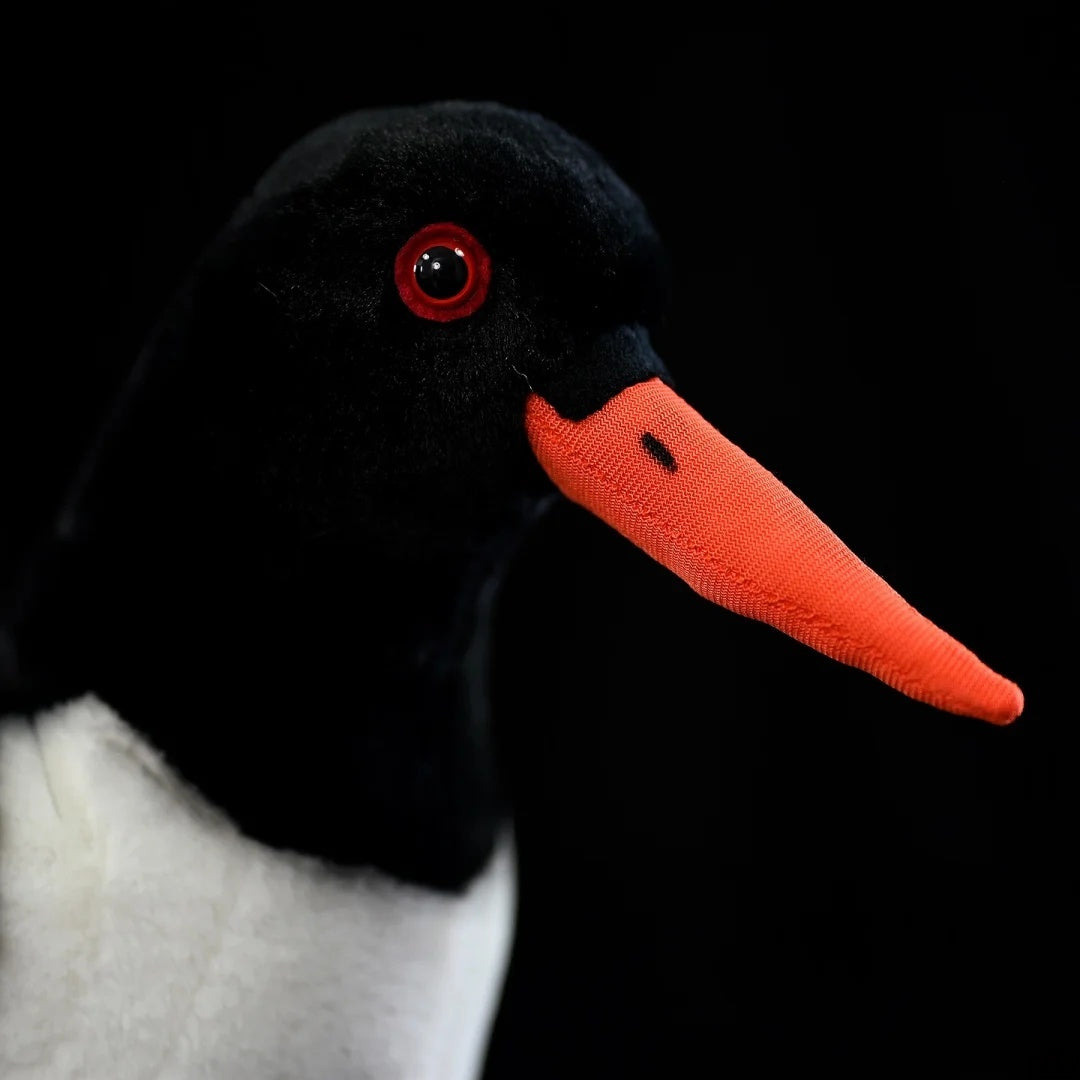 Close-up of Eurasian Oystercatcher plush head by SoftDaysLab®, featuring a vibrant red eye and precise bill detailing